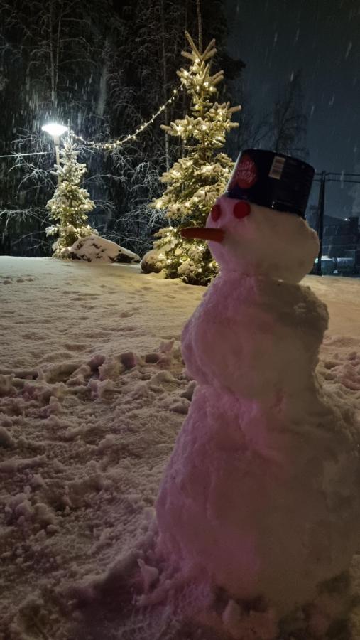 Asikkalan Motelli Vesivehmaa Kültér fotó